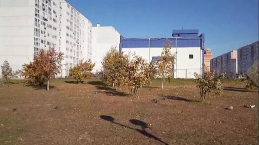 Благоустройство дамбы Южного округа начнётся следующей весной