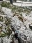 В Хабаровске внезапно пошел град