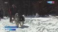 Увидеть... руками: общество слепых из Комсомольска-на-Амуре провело соревнования по спидкубингу