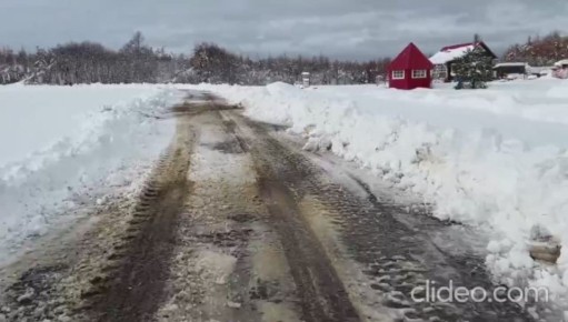 ФОТО / ВИДЕО сегодняшнего утра