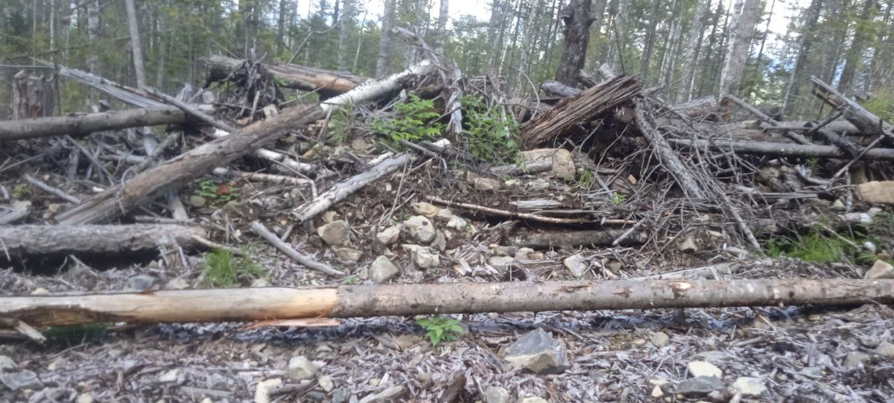 В Хабаровском крае по требованию прокуратуры лесопользователь привлечен к ответственности за нарушение правил пожарной безопасности В Хабаровском крае по требованию прокуратуры лесопользователь привлечен к ответственности за нарушение правил пожарной безопасности