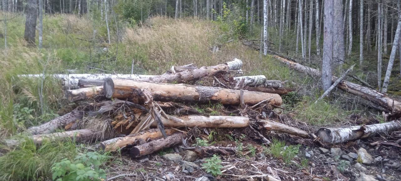 В Хабаровском крае по требованию прокуратуры лесопользователь привлечен к ответственности за нарушение правил пожарной безопасности