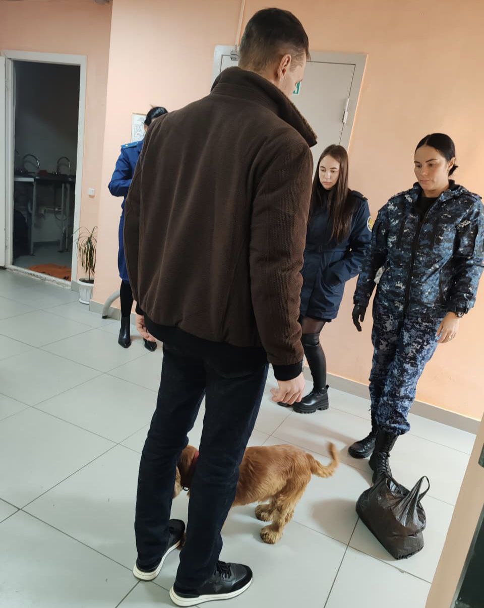 Прокуратурой Комсомольска-на-Амуре проведено профилактическое мероприятие по борьбе с распространением запрещенных веществ Прокуратурой Комсомольска-на-Амуре проведено профилактическое мероприятие по борьбе с распространением запрещенных веществ