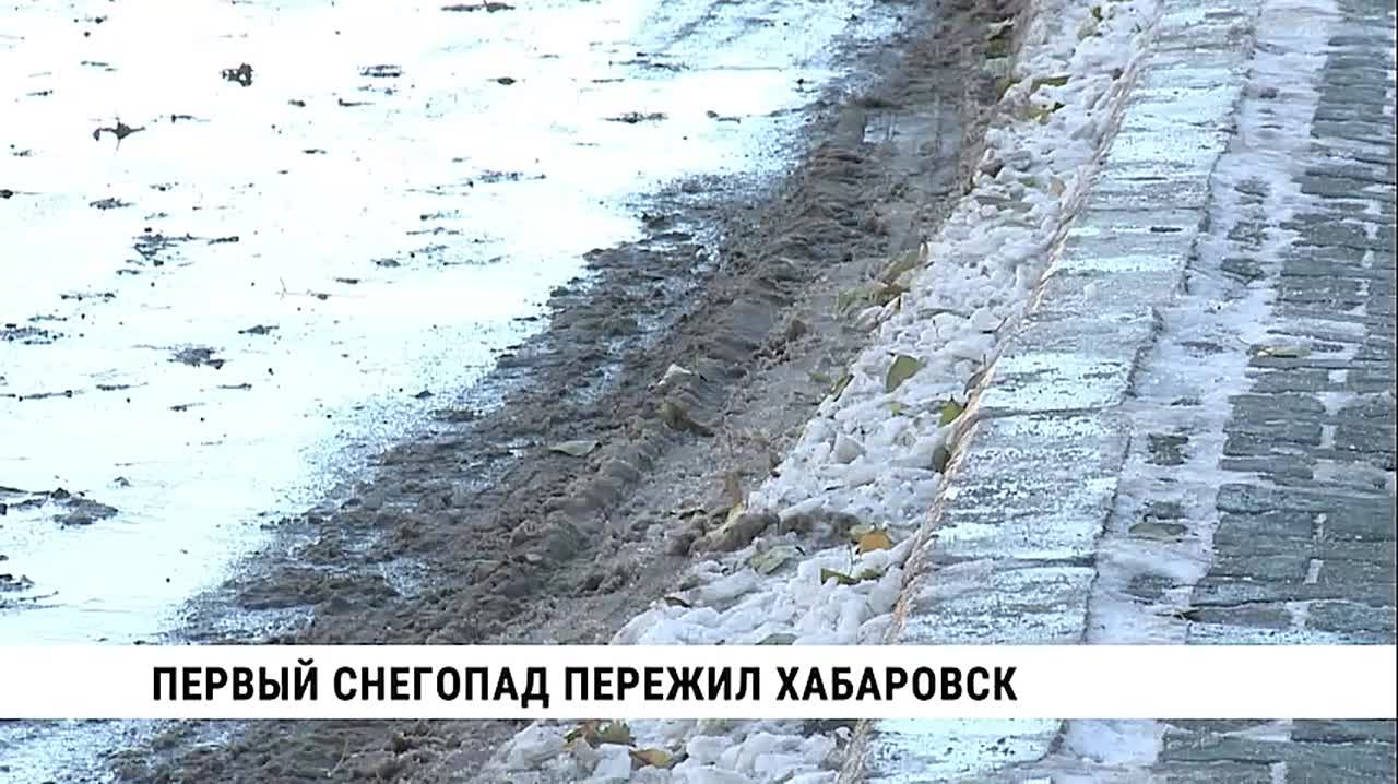 Самую позднюю грозу в истории метеонаблюдений Хабаровска синоптики зафиксировали во вторник, 28 октября