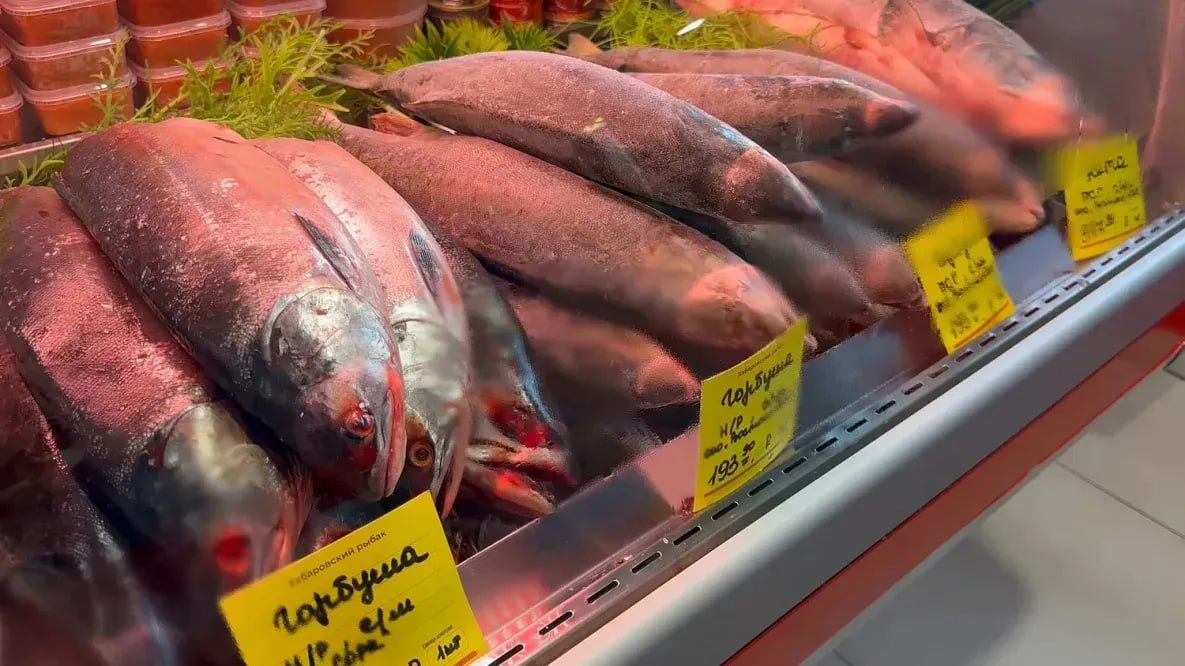 В Хабаровске сварят гигантскую уху, в которой будет 120 кг форели