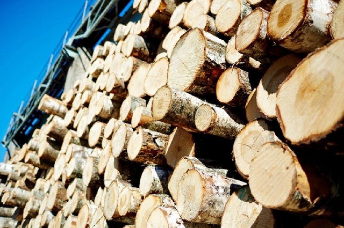 Жителям удаленных районов края хотят разрешить заготавливать дрова в заповедниках