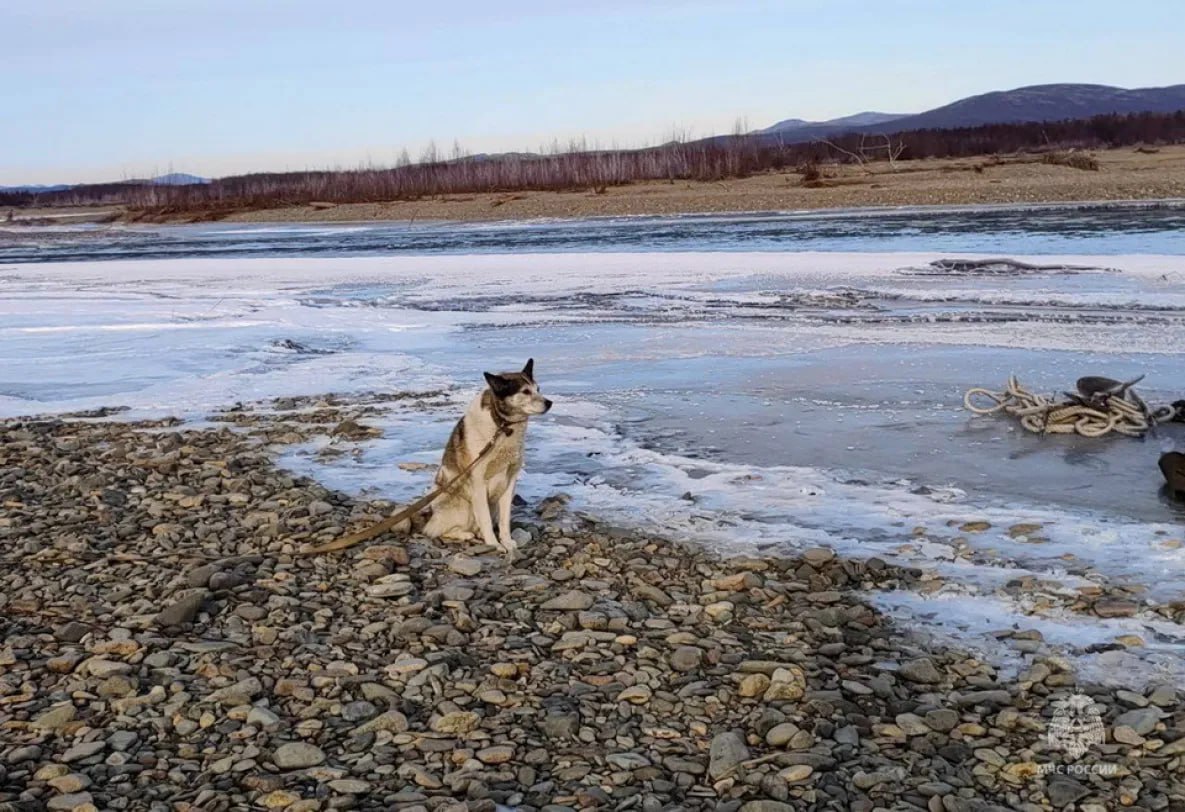 Хабаровские спасатели на вертолёте у Магадана спасли двух рыбаков и собаку