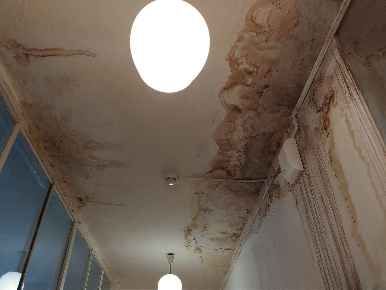 Заделать крышу детского сада в поселке Токи планируют в ближайшее время Заделать крышу детского сада в поселке Токи планируют в ближайшее время