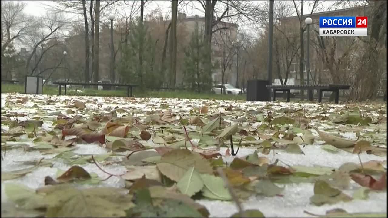 Смотрите в 21:10. Температурные «качели» скоро закончатся: Хабаровск – в ожидании настоящей зимы