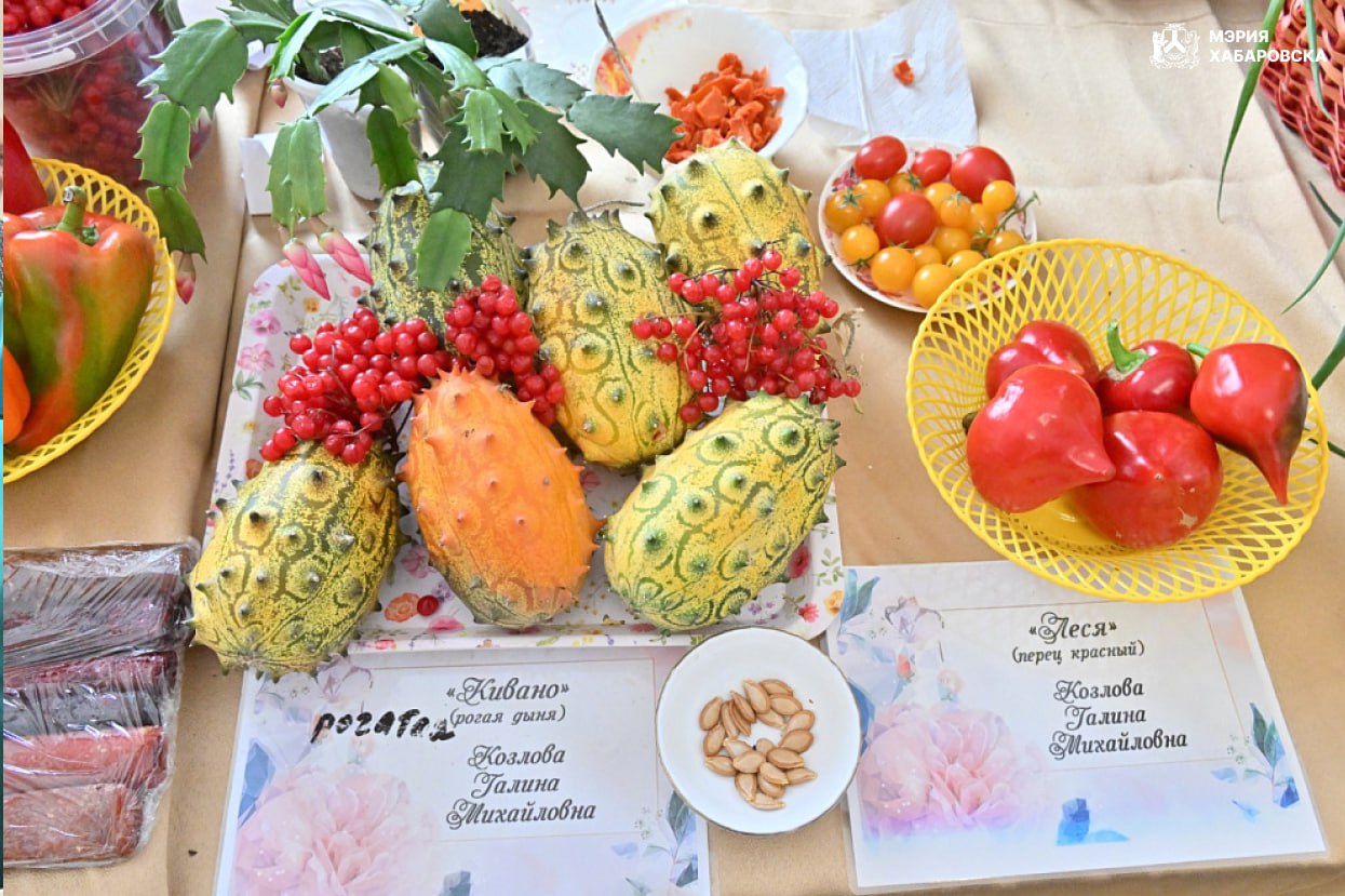 Поддержка садоводства в Хабаровске Поддержка садоводства в Хабаровске