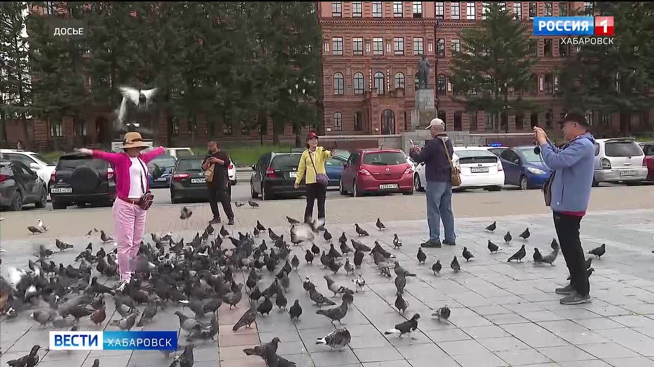 «Это круглая «двойка!»: Дмитрий Демешин раскритиковал работу экс-министра туризма Хабаровского края