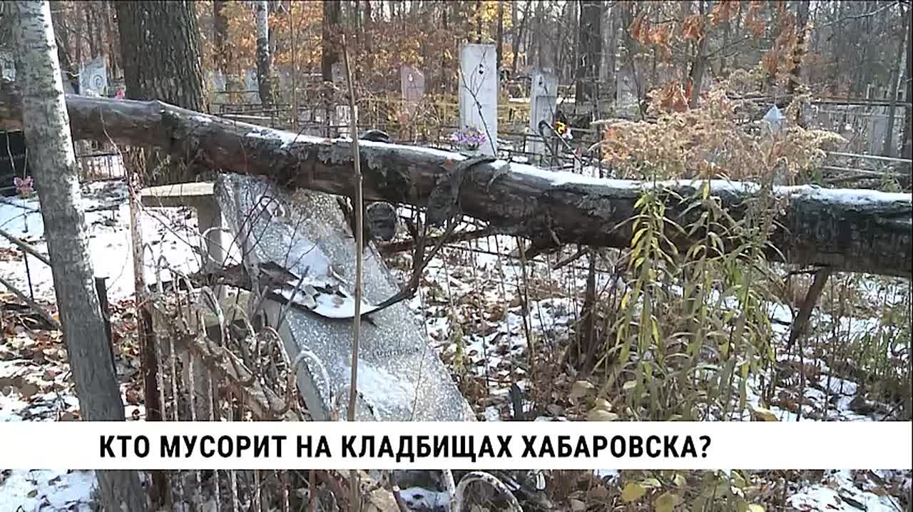 За одну санитарную неделю с центрального кладбища Хабаровска вывезли 80 тонн мусора