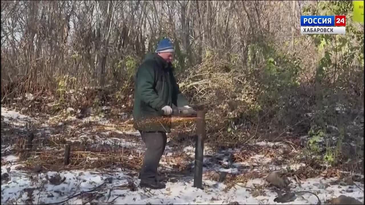 Хабаровский питомник имени Лукашова начали приводить в порядок