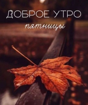 Доброе утро, Хабаровск!. 31 октября Температурный фон в течение дня в пределах от -4 до +4, ночью от -4 до -2°