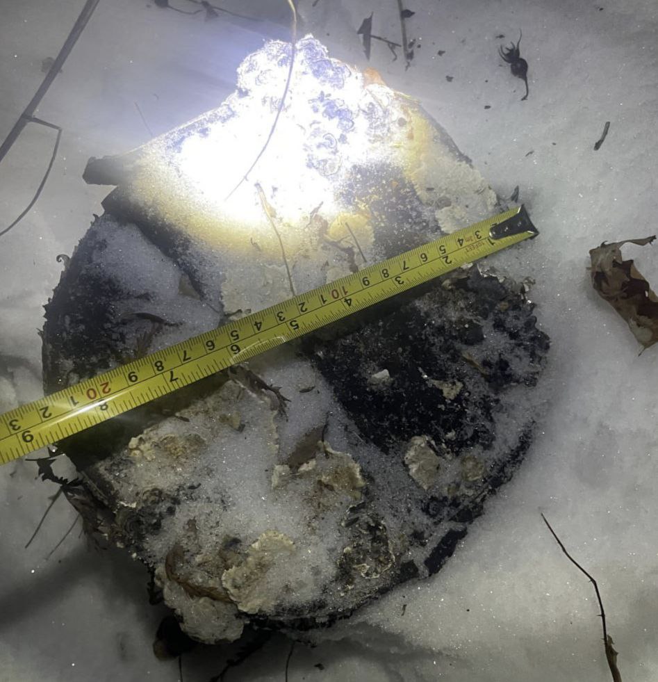 В районе имени Лазо осуждены трое местных жителей за незаконную рубку леса