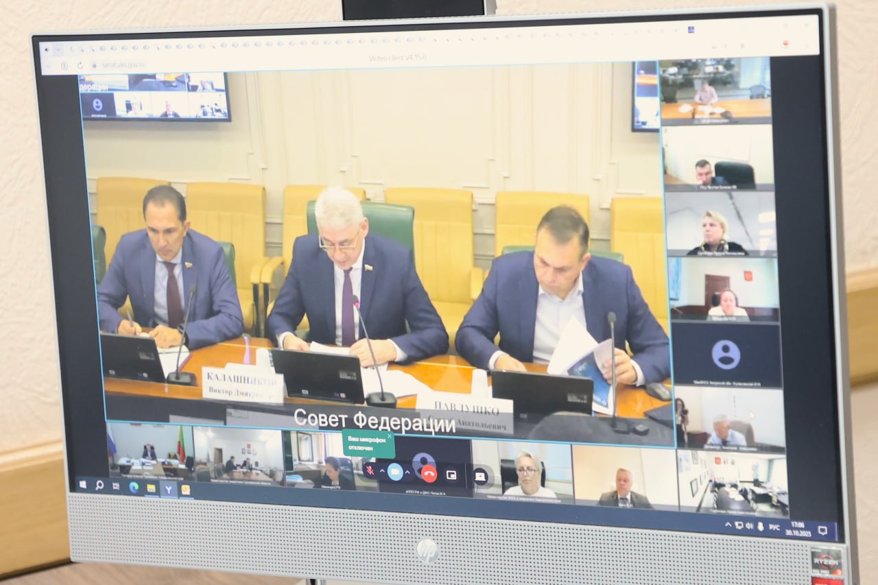 Вопросы государственной поддержки развития электроэнергетики на Дальнем Востоке обсудили в Совете Федерации Вопросы государственной поддержки развития электроэнергетики на Дальнем Востоке обсудили в Совете Федерации