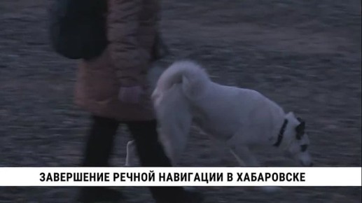 В Хабаровске завершилась дачная навигация на Амуре