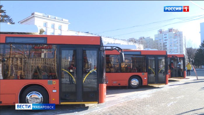 Работу общественного транспорта на ноябрьских выходных в Хабаровске скорректируют