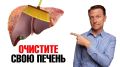 Печень после 40: как предотвратить серьёзные проблемы и сохранить здоровье