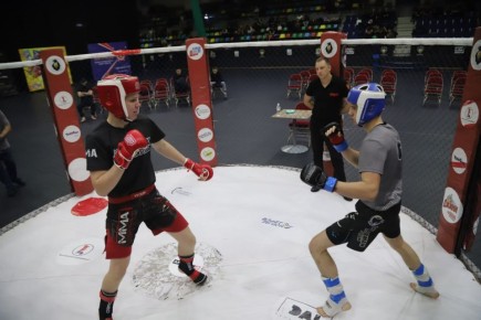 Кубок Хабаровского края по смешанному боевому единоборству (ММА) состоялся в краевом центре