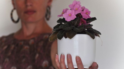 Фиалка будет бешено цвести месяцами: вот чем нужно поливать для постоянного роста