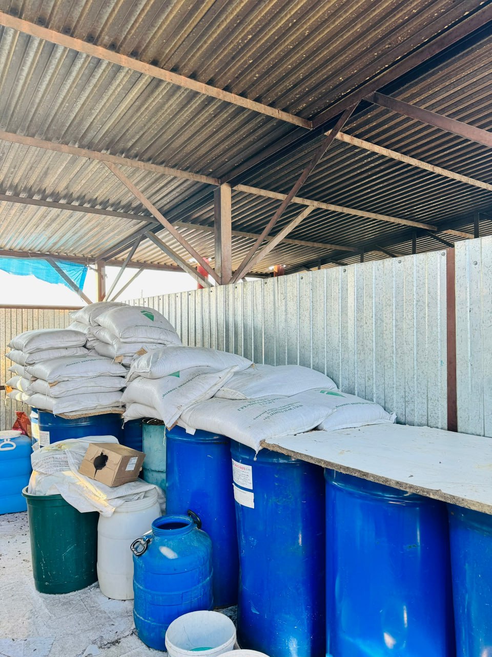 Хабаровский депутат раскритиковал волонтеров, наживающихся на помощи животным Хабаровский депутат раскритиковал волонтеров, наживающихся на помощи животным