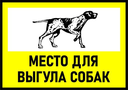 В Комсомольске-на-Амуре по иску прокурора суд обязал администрацию города определить места и обустроить площадки для выгула животных