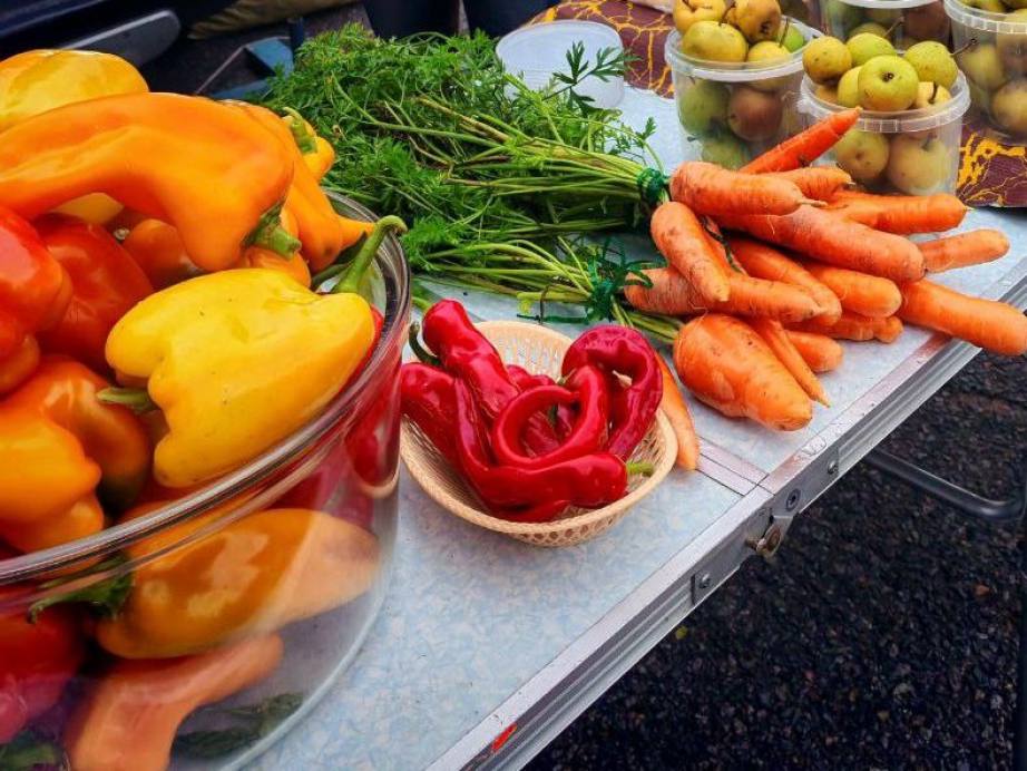 Краевая ярмарка выходного дня завершила очередной сезон Краевая ярмарка выходного дня завершила очередной сезон