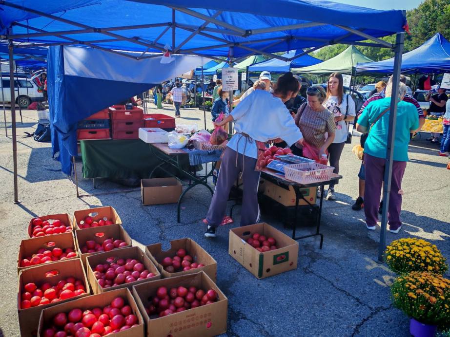 Краевая ярмарка выходного дня завершила очередной сезон Краевая ярмарка выходного дня завершила очередной сезон