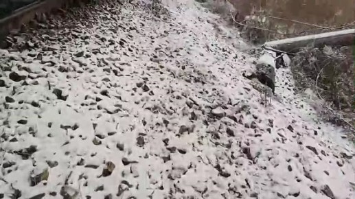 Пожарные и спасатели вызволили пострадавших в аварии с поездом и автобусом в Хабаровском крае