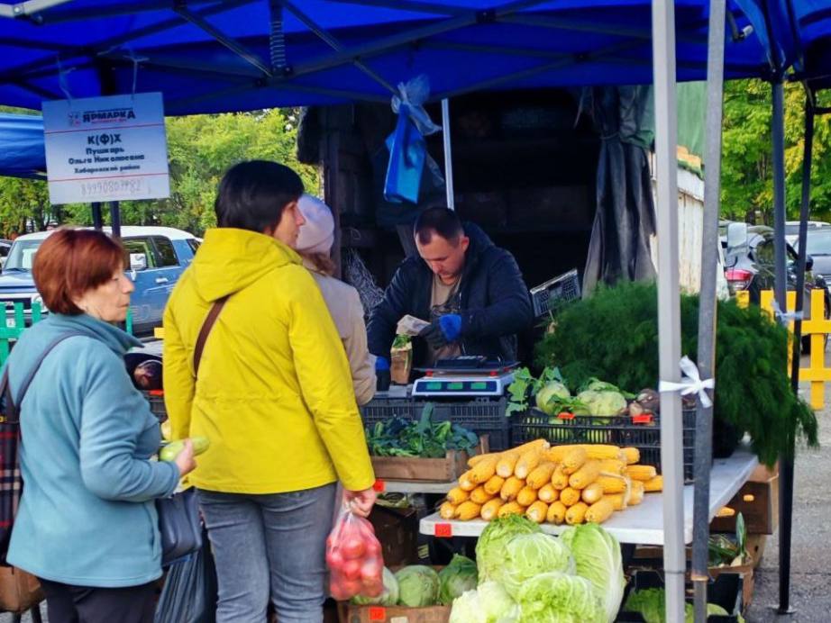 Краевая ярмарка выходного дня завершила очередной сезон Краевая ярмарка выходного дня завершила очередной сезон