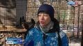 Тёплые «квартиры» и витаминные комплексы: обитателей зоосада «Приамурский» готовят к зимним холодам