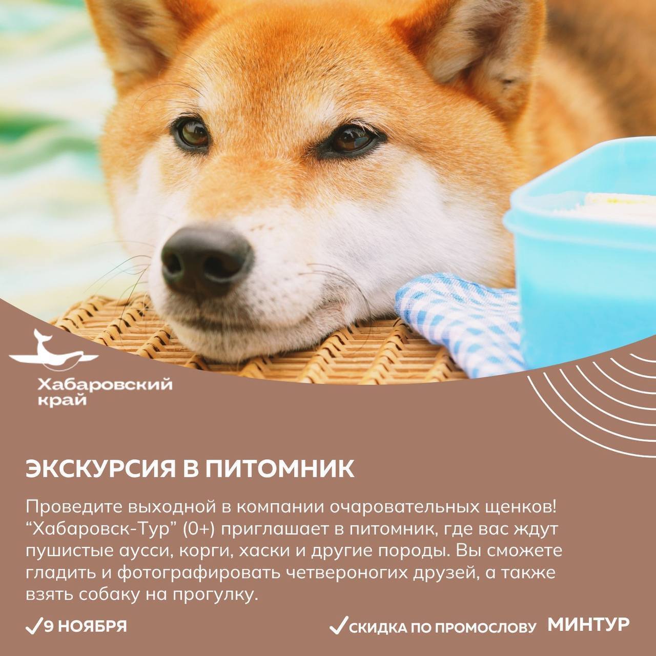 Прокатиться на «Хабаровском экспрессе» и прикоснуться к прошлому приглашают жителей и гостей края Прокатиться на «Хабаровском экспрессе» и прикоснуться к прошлому приглашают жителей и гостей края