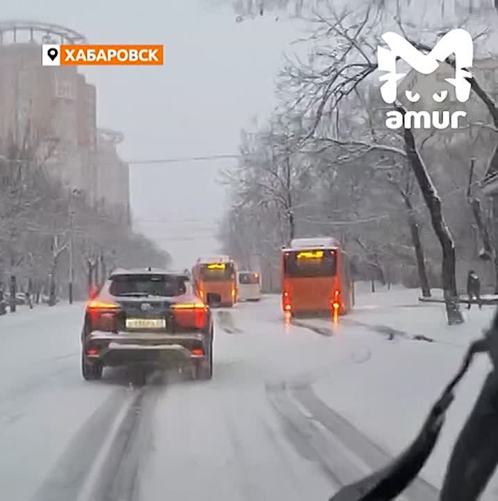 Автобусы не могут проехать в центре Хабаровска из-за выпавшего снега