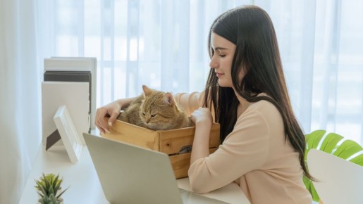 Этот продукт должен быть в каждом доме, где живет кошка: спасет от неприятного запаха