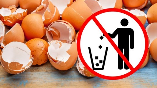 Вы больше не будете выбрасывать яичную скорлупу: из нее получится чудо-средство