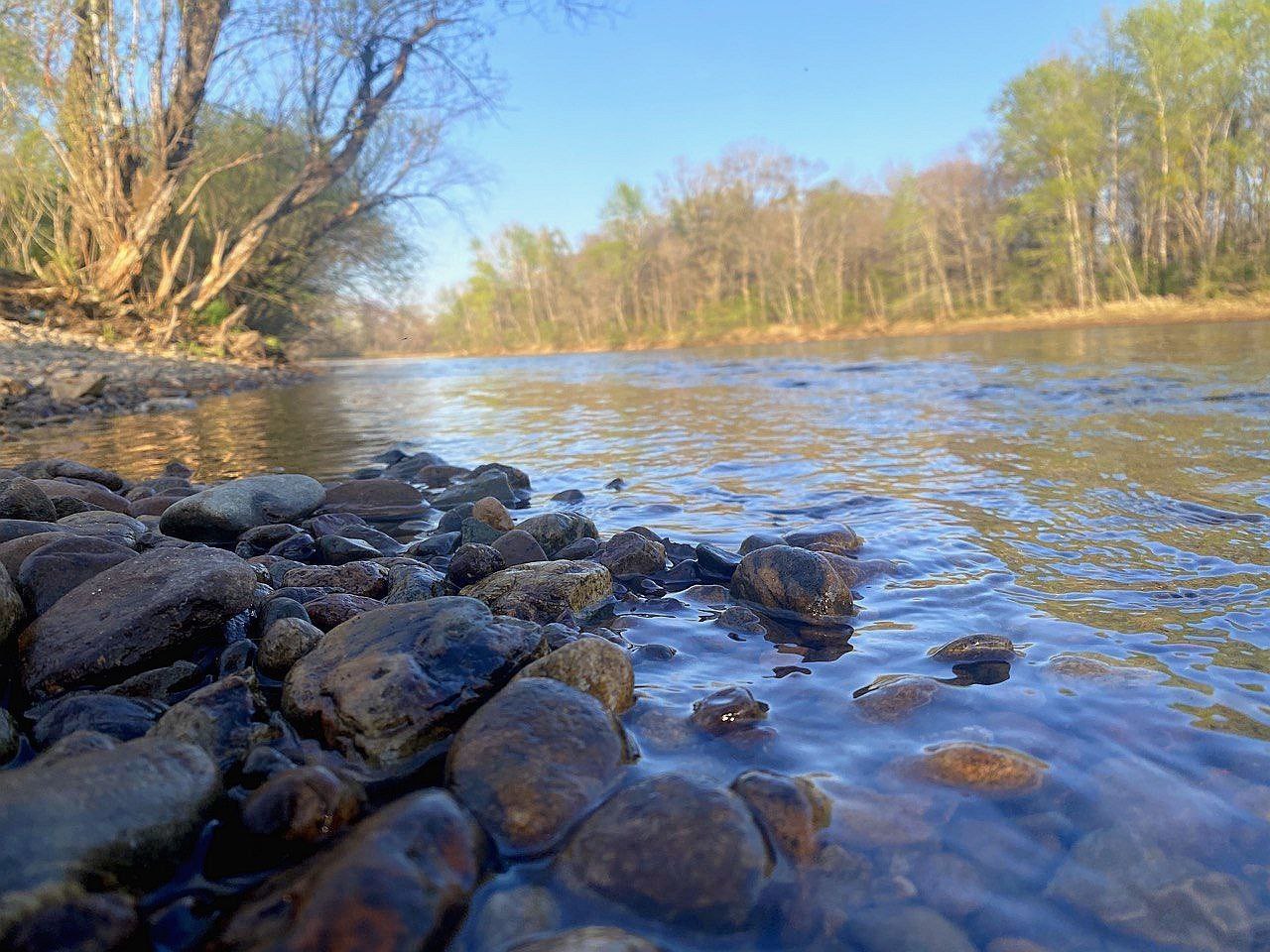 «Водоканал» сбрасывал отходы в Амурскую протоку