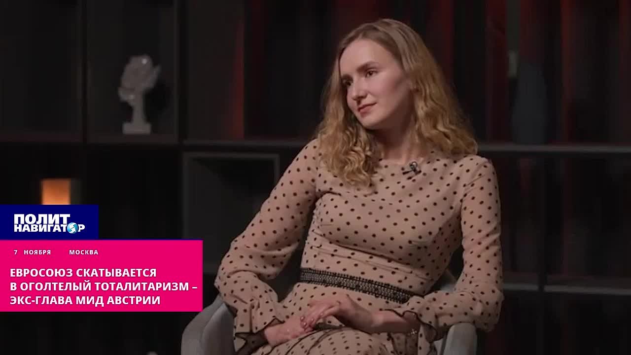 Евросоюз скатывается в оголтелый тоталитаризм – экс-глава МИД Австрии