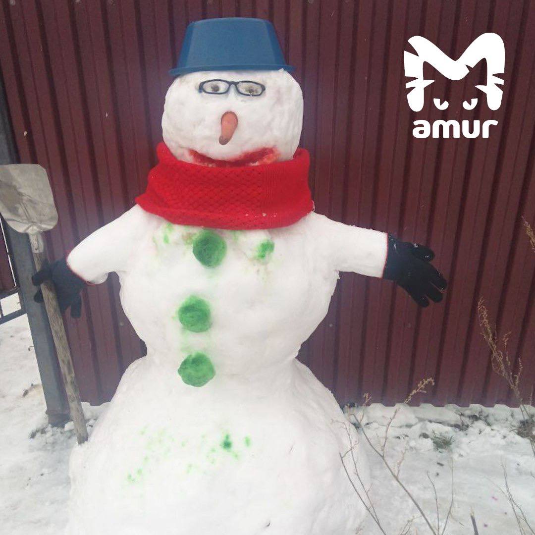 Настоящий парад снеговиков в Хабаровском крае Настоящий парад снеговиков в Хабаровском крае