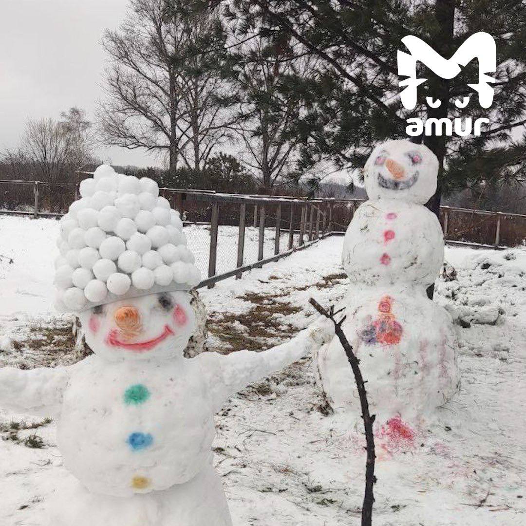 Настоящий парад снеговиков в Хабаровском крае Настоящий парад снеговиков в Хабаровском крае