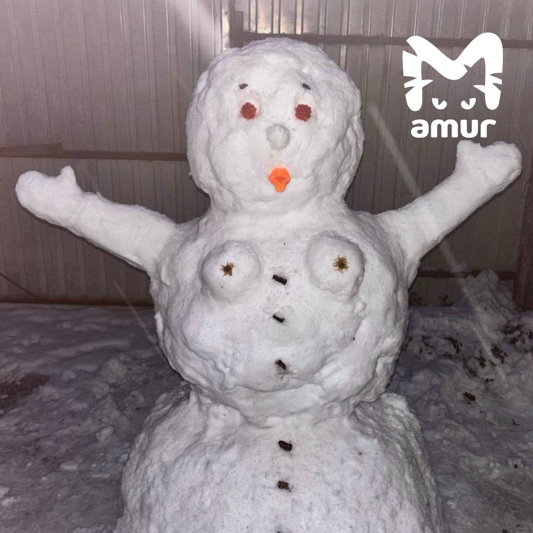 Настоящий парад снеговиков в Хабаровском крае Настоящий парад снеговиков в Хабаровском крае