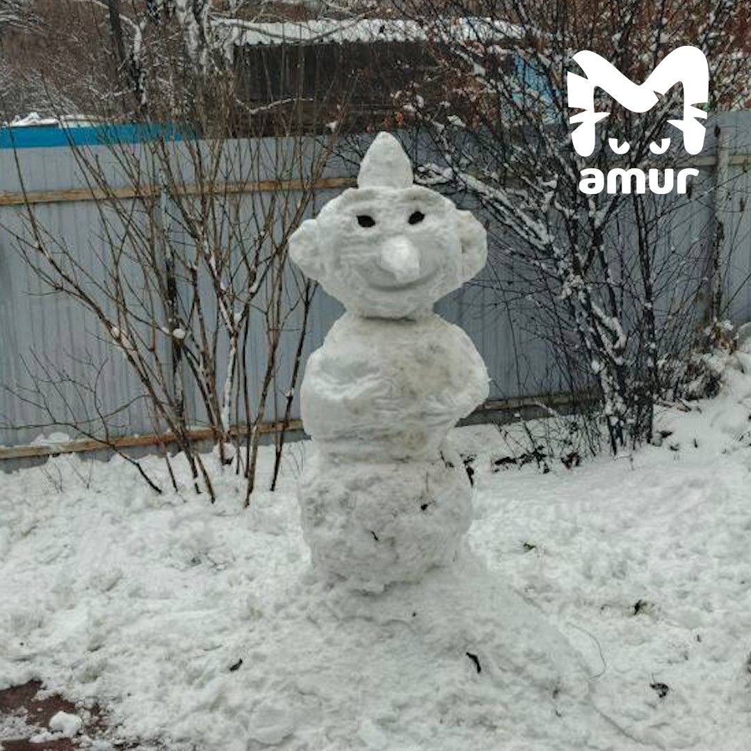 Настоящий парад снеговиков в Хабаровском крае Настоящий парад снеговиков в Хабаровском крае