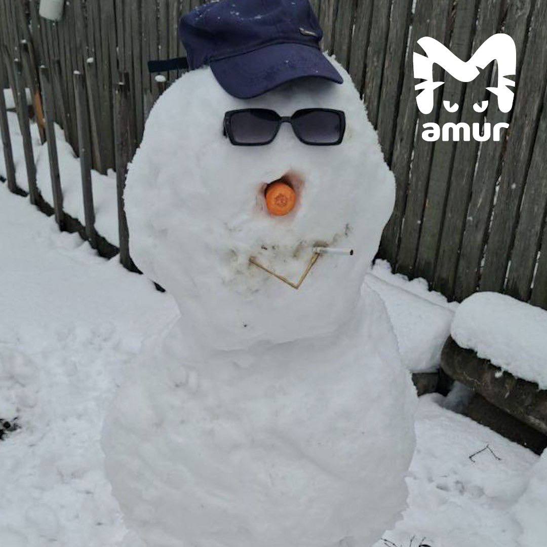 Настоящий парад снеговиков в Хабаровском крае