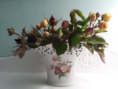 Подготовка роз к зиме: как не упустить последний момент