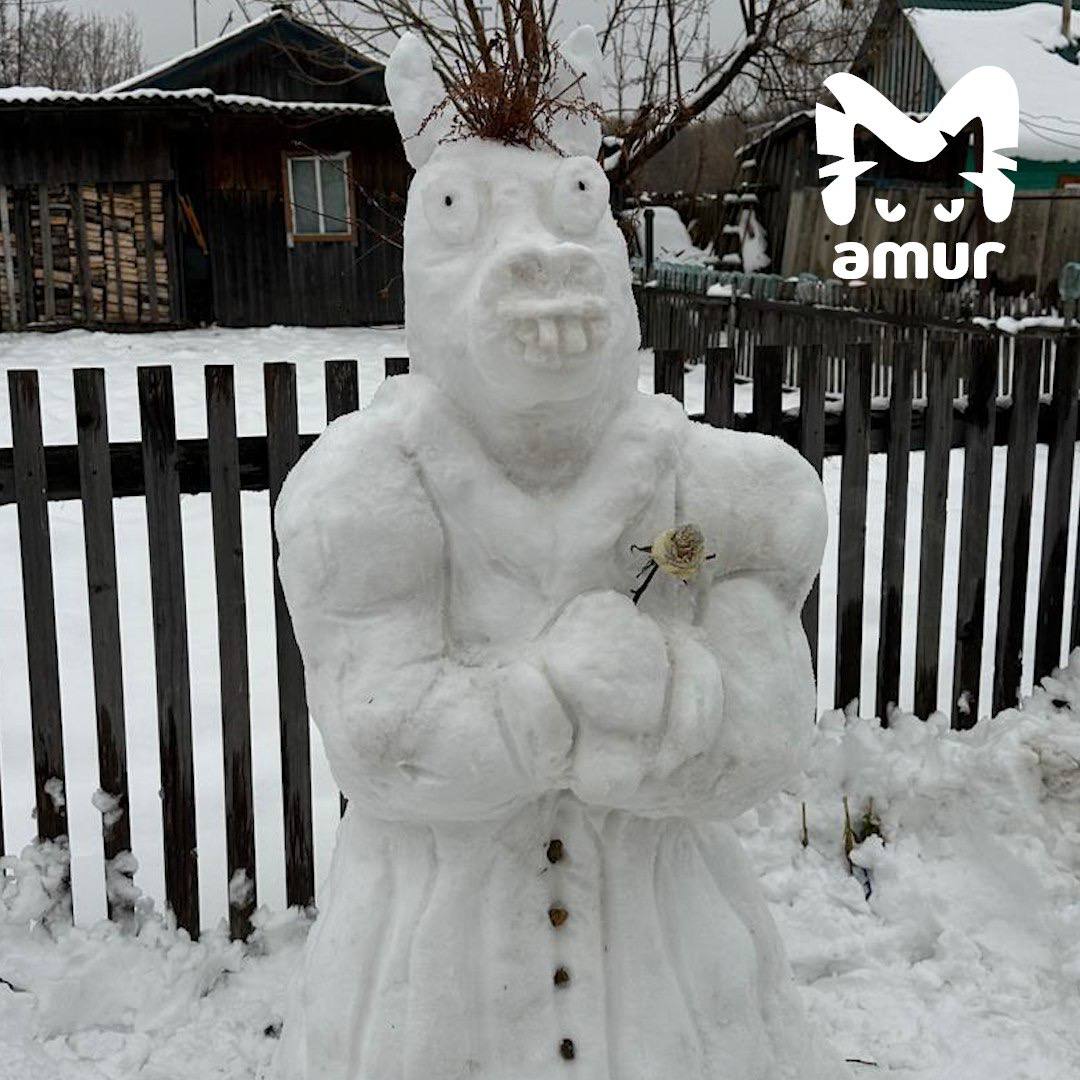 Настоящий парад снеговиков в Хабаровском крае Настоящий парад снеговиков в Хабаровском крае