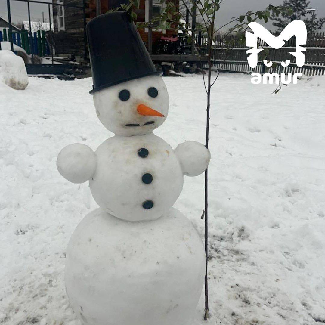 Настоящий парад снеговиков в Хабаровском крае Настоящий парад снеговиков в Хабаровском крае