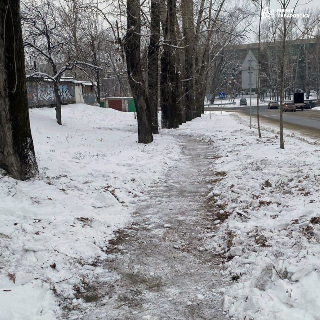Силами комитета по управлению Индустриальным районом организованны работы по очистке пешеходных связей от снега в районе пересечения улиц П. Л. Морозова — Суворова, остановки общественного транспорта Сурикова Силами комитета по управлению Индустриальным районом организованны работы по очистке пешеходных связей от снега в районе пересечения улиц П. Л. Морозова — Суворова, остановки общественного транспорта Сурикова