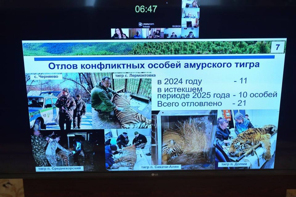 Снизить количество конфликтных ситуаций с дикими животными поручил Дмитрий Демешин