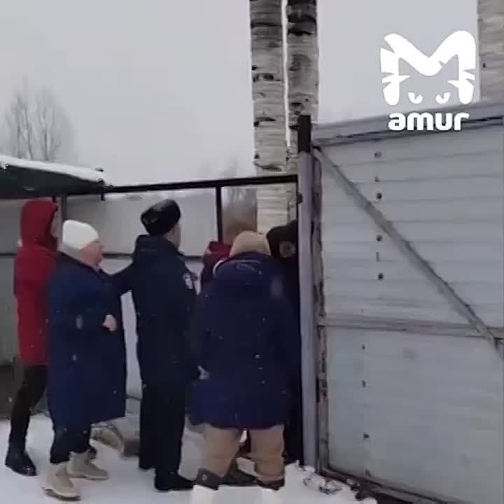 Зоозащитники пытались взять штурмом приют в Хабаровске и избили сотрудника