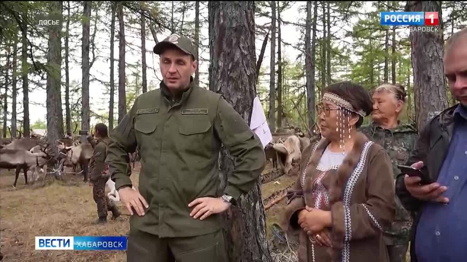 Дмитрий Демешин поручил разработать комплекс мер для эффективной защиты северных оленей от волков